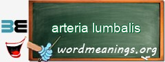 WordMeaning blackboard for arteria lumbalis